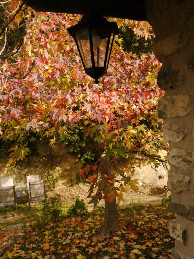 Mas Franch Lägenhet San Miguel de la Pineda Exteriör bild