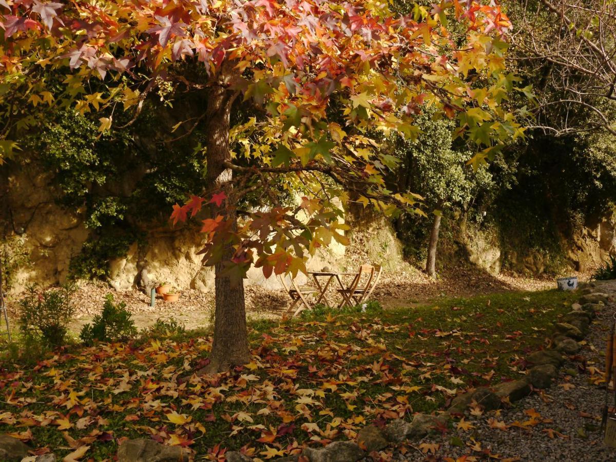 Mas Franch Lägenhet San Miguel de la Pineda Exteriör bild